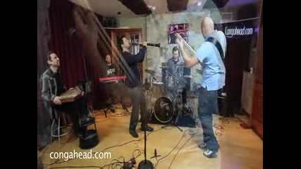 New York Gypsy All Stars performs