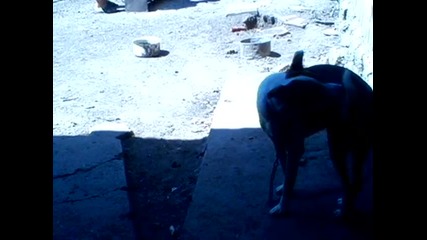 Vid_20140731_113330