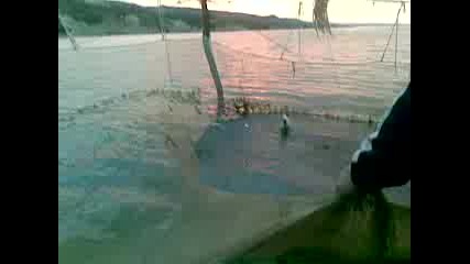 Далян Обзор - Балчик (fishery Obzor - Balchik and Chushkas fisherfolk)