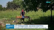 Започват масови проверки за вноса на плодове и зеленчуци по границите с Турция и Северна Македония