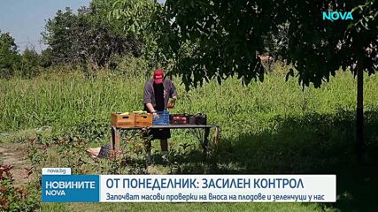 Започват масови проверки за вноса на плодове и зеленчуци по границите с Турция и Северна Македония