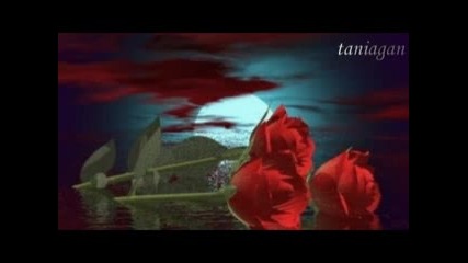 Аз и Ти - стихове Маргарита Райчева