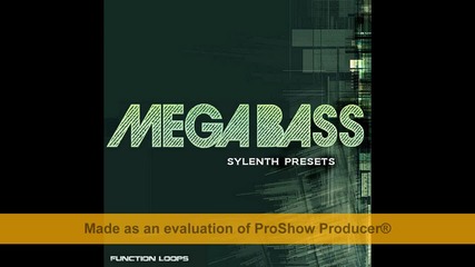 (malko Bass )
