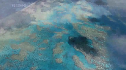 Wonderful - Ocean
