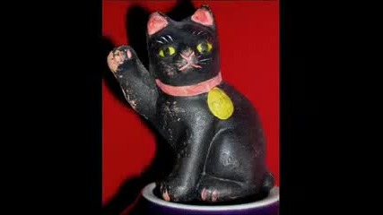 котки - нинджи
