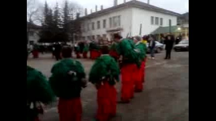 surva divotino 14 - 01 - 11