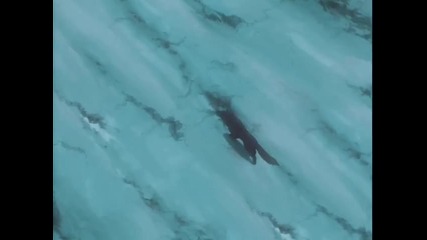 Wolf's Rain ep30