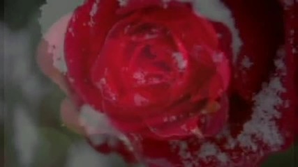 Frozen Rosses