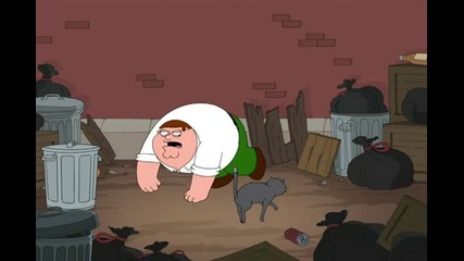 Family Guy - Котешки бой 