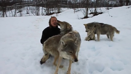 Анита се връща при вълците !