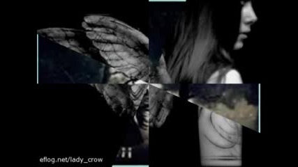 Dream Love