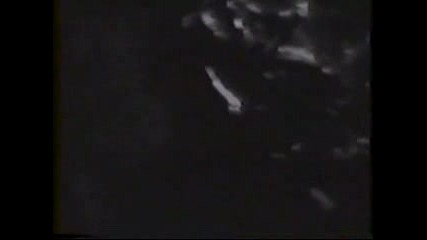 Swervedriver - Never Lose That Feeling