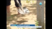 Наводнение засегна десетки къщи в Карловско - Новините на Нова