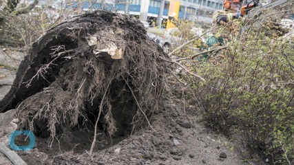 Storm Niklas Batters Central Europe