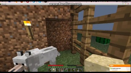 Minecraft-survivar Island part 4
