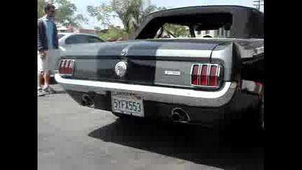 Ford Mustang Shelby Gt - 350 
