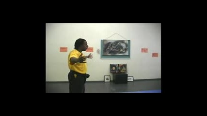 How to Do Rolls in Ninjutsu How to Become a Ninja 
