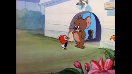 Tom And Jerry - 041 - Hatch Up Your Troubles (1949)