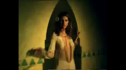 Enrique Iglesias - Ring My Bells ( Fan Video ) 