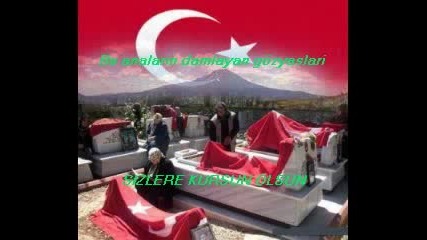 Turkiye Vatan