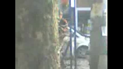 dvamata glupaci