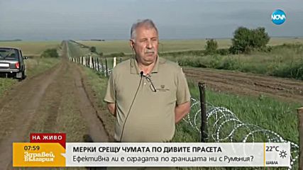 СРЕЩУ ЧУМАТА ПО ДИВИТЕ ПРАСЕТА: Мирис на вълк ще гони животните, идващи от Румъния