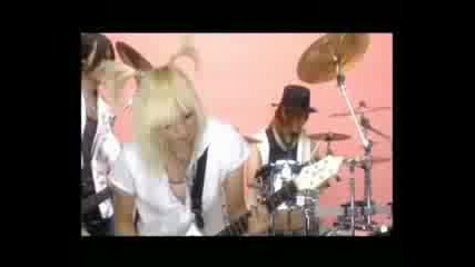 An Cafe - Nori Nori Nori