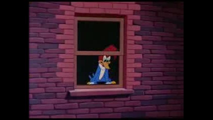 Woody Woodpecker - Under the Counter Spy