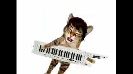 Oh No My Kitty Is Emo