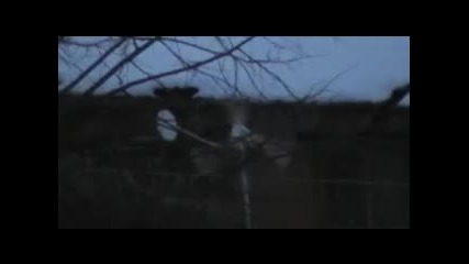 Да хванеш вятъра
