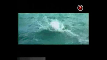 Dj Sash! - La Primavera