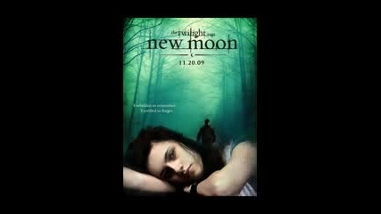 Bella Swan In The New Moon