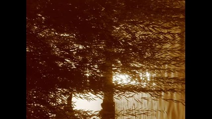 Tales of Dark - Forever 