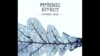 Phoenix Effect - A Perfectly Good Day 