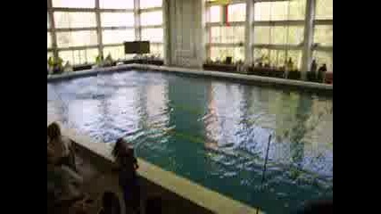 Плуване - 100 Метра Кроул