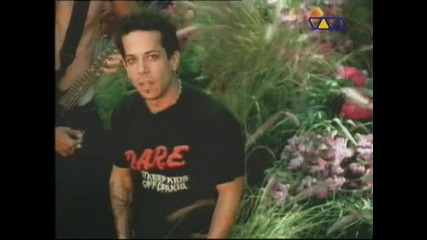 Crazytown - Butterfly