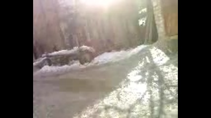 Видео - 0002