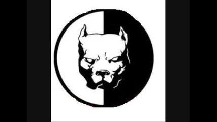 Angerfist - Dance With The Wolves