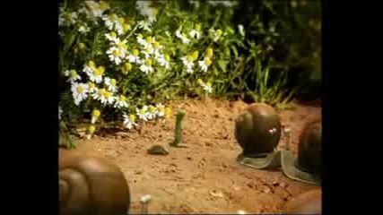 Minuscule - the Ugly Snail