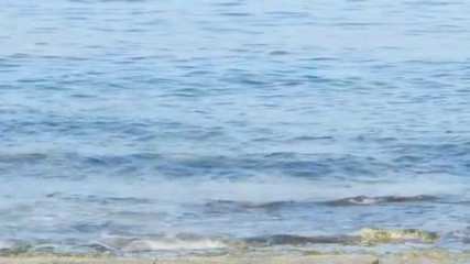 Sea sun beach and beautiful life