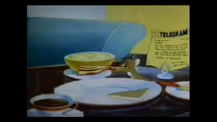 Tom And Jerry - Million Dollar Cat`s 