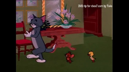 Tom and Jerry - Happy Go Ducky