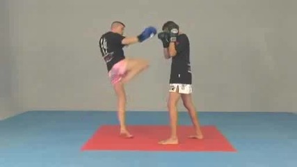 Muy thai - Techniques modernes