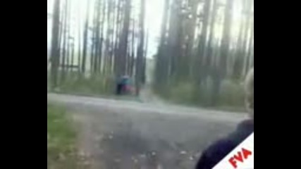 Точно в дървото 