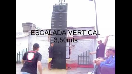 питбул ска4а 3,50 метра