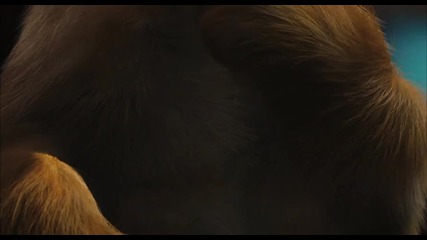 Cats & Dogs The Revenge of Kitty Galore *hq*
