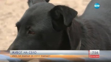 Има ли бъдеще за село Бъдеще?