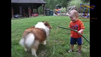 Смешна Компилация с Бебета и Кучета