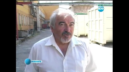 Криза удари пазара на дървесина у нас