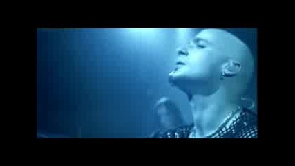 Disturbed - Remember (alternate)